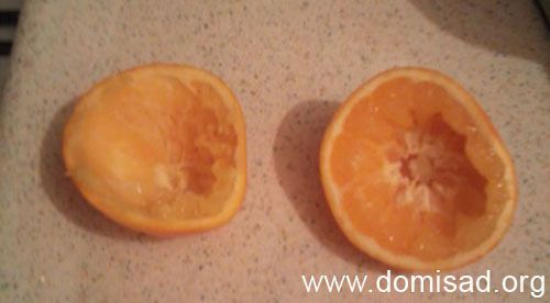 Использованные апельсины