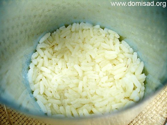 Начинаем выкладывать слои - рис