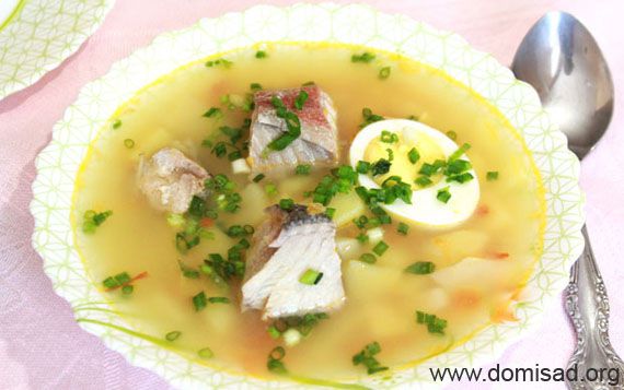 Вкусный и быстрый суп из красной рыбы - рецепт с пошаговыми фото