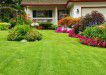 Как сделать газон на дачном участке и правильно за ним ухаживать