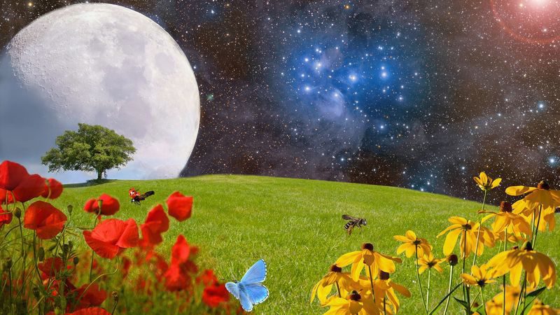 Какой сегодня лунный день Календарь луны садовода-огородника на 2019 год